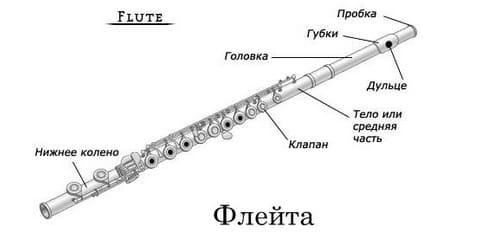 Флейта - Flute