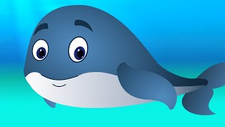 Blue Whale Nursery Rhyme