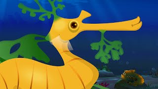 Leafy Sea Dragon Nursery Rhyme