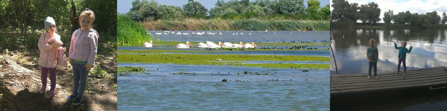 Пеликаны на озере. Беляевка