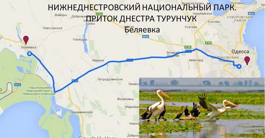 Беляевка. Река Турунчук. Одесский Регион