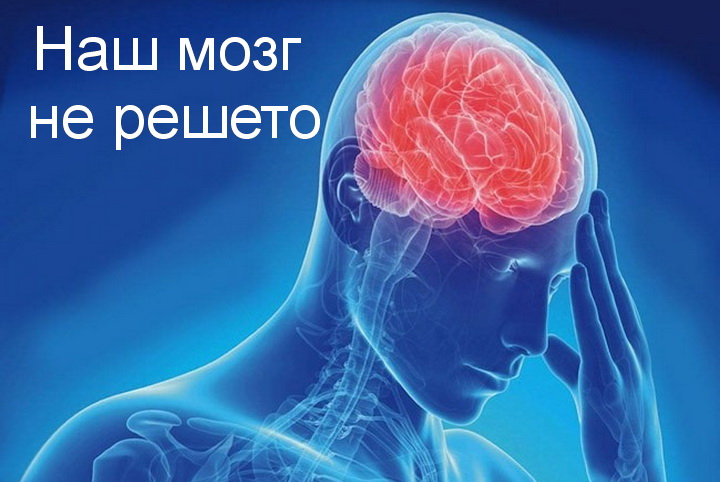 Людський мозок не решето